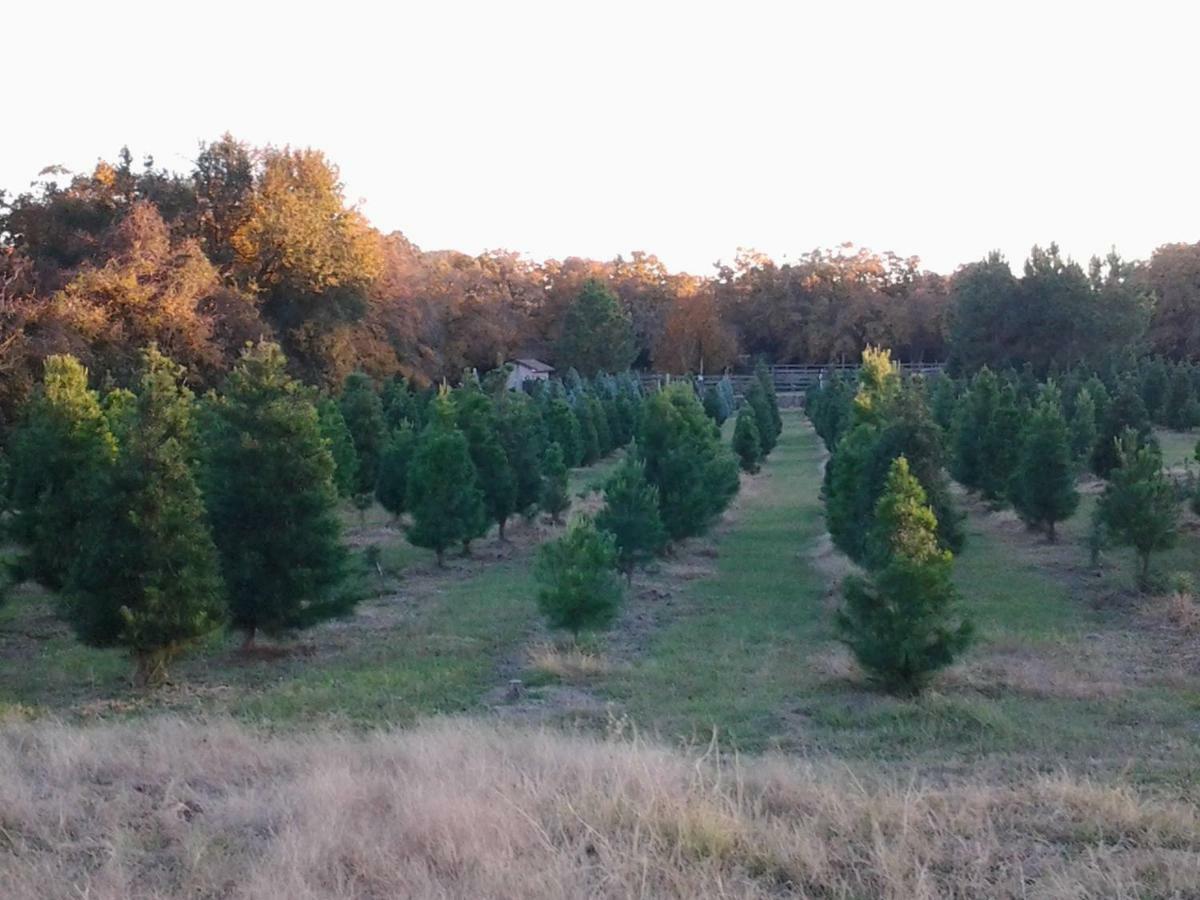 Kelumac Christmas Tree Farm B&B Bryan Eksteriør bilde